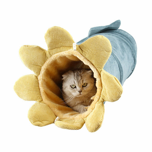 Cat Tunnel Toy