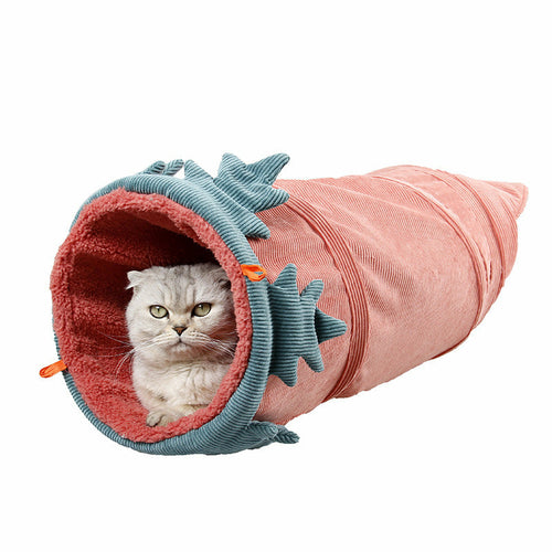 Cat Tunnel Toy