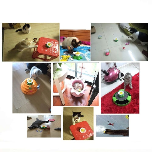Colorful Butterfly  Dog or Cat Toys