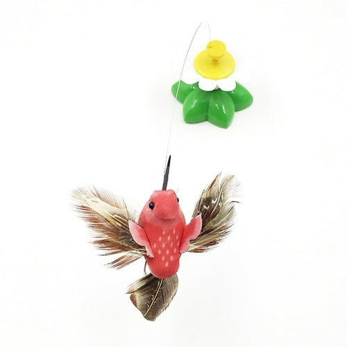 Colorful Butterfly  Dog or Cat Toys