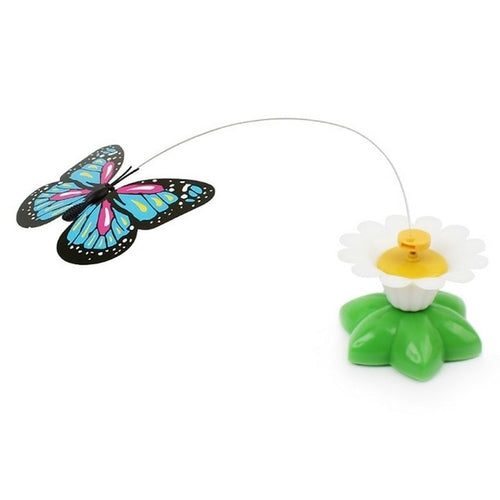 Colorful Butterfly  Dog or Cat Toys