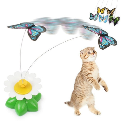 Colorful Butterfly  Dog or Cat Toys