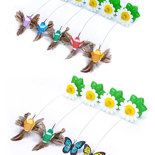 Colorful Butterfly  Dog or Cat Toys