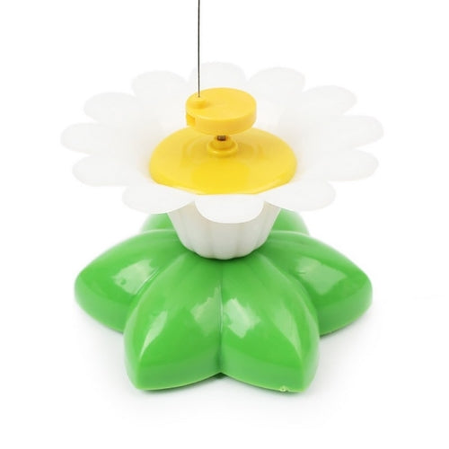 Colorful Butterfly  Dog or Cat Toys