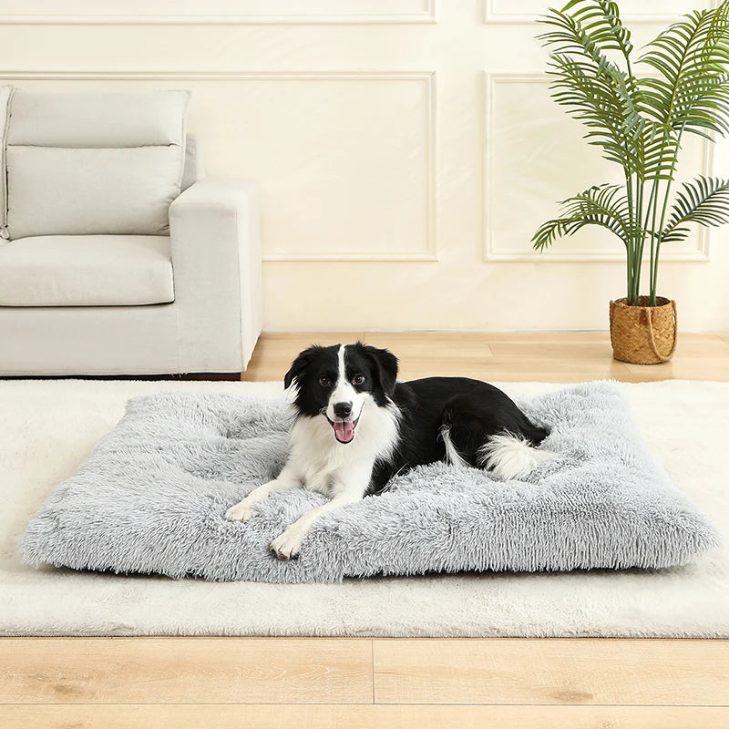 Plush dog bed