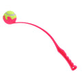 Pet Throwing Stick