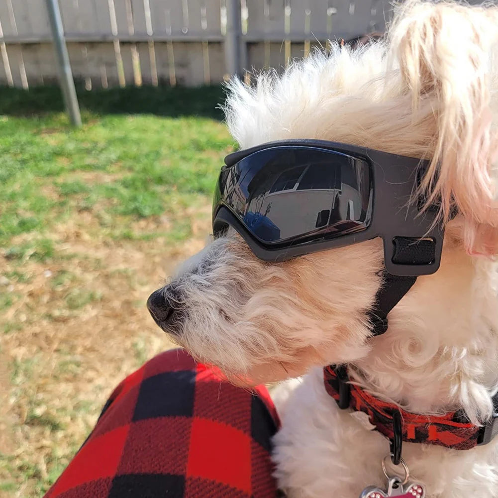 Dog UV Protection Sunglasses Goggles with adjustable Straps