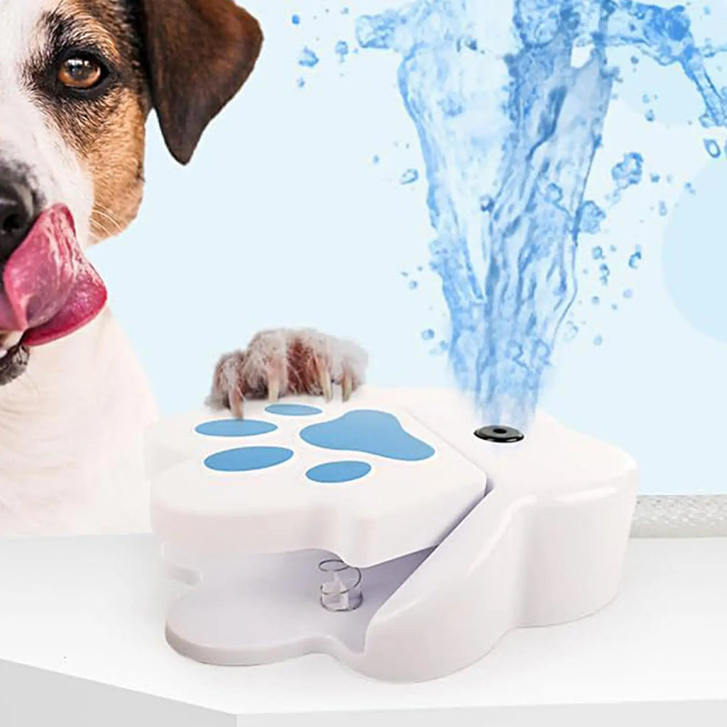 Pet Water Fountain  with an interactive step