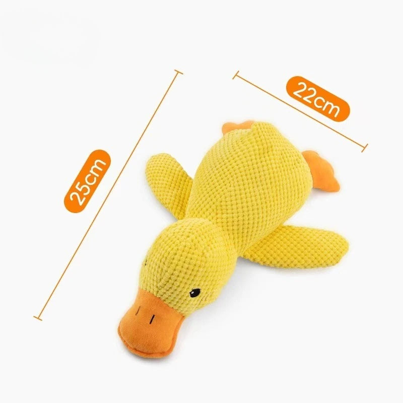Cat/ Dog Toys for Aggressive Chewers  Squeak Toy