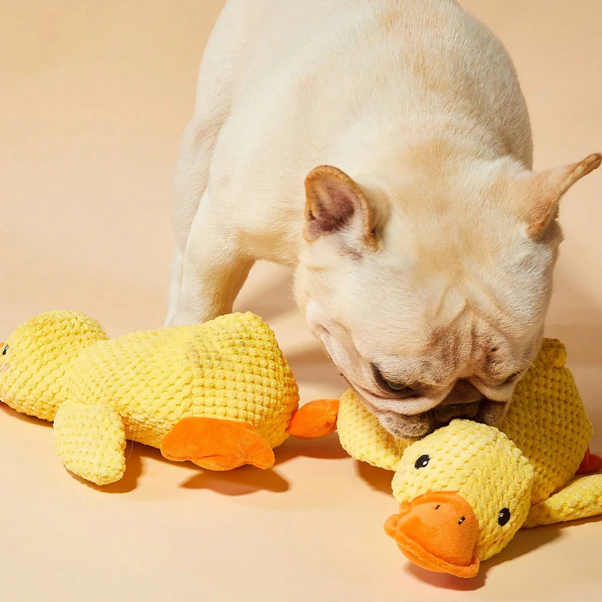 Companion Sleeping Duck Toys
