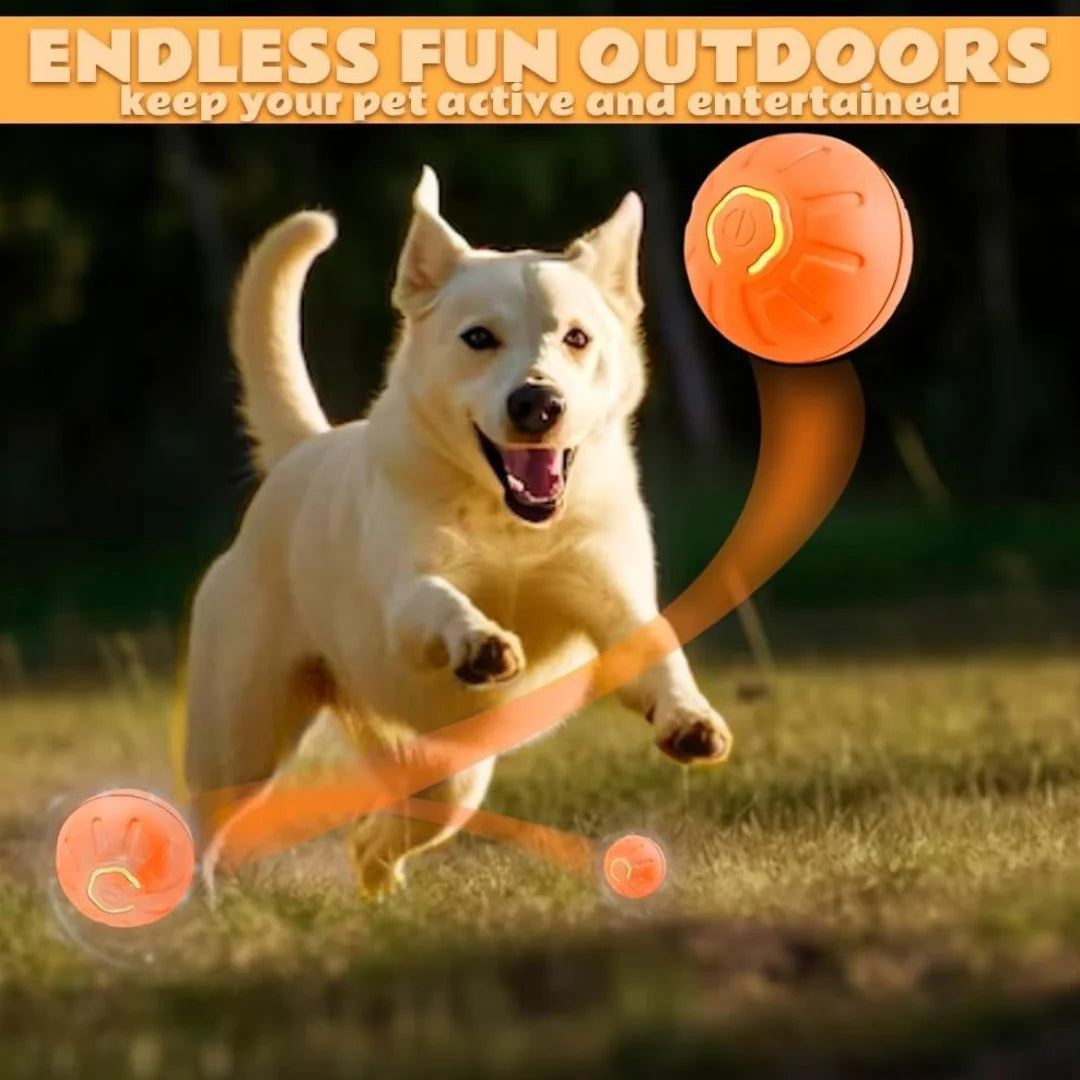 Gravity Electric smart Ball For Dogs and Cats