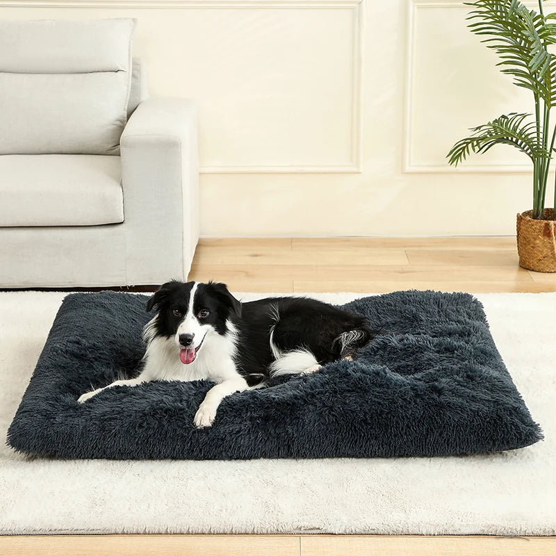 Plush dog bed