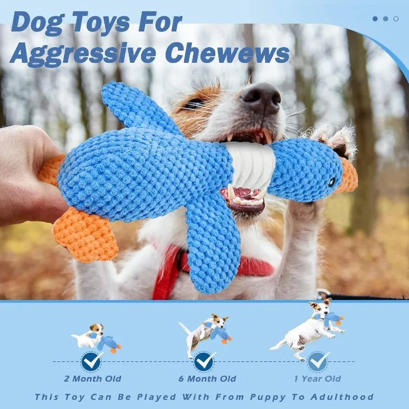 Cat/ Dog Toys for Aggressive Chewers  Squeak Toy