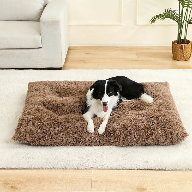 Plush dog bed