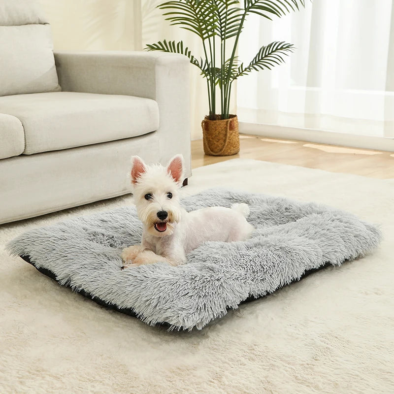 Plush dog bed