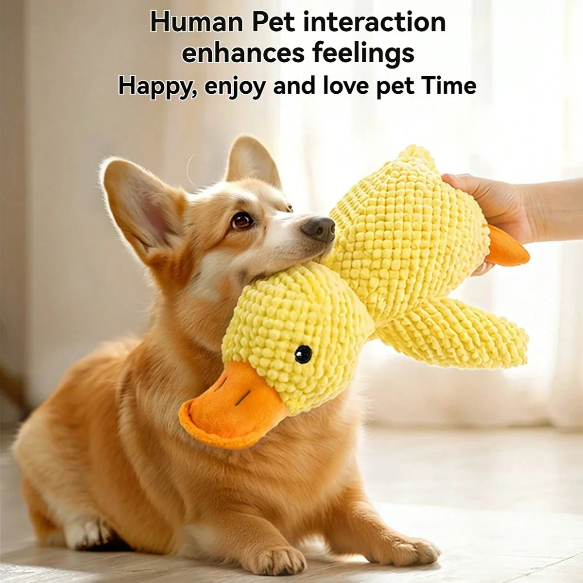 Companion Sleeping Duck Toys