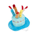 Pet Birthday Party Hat