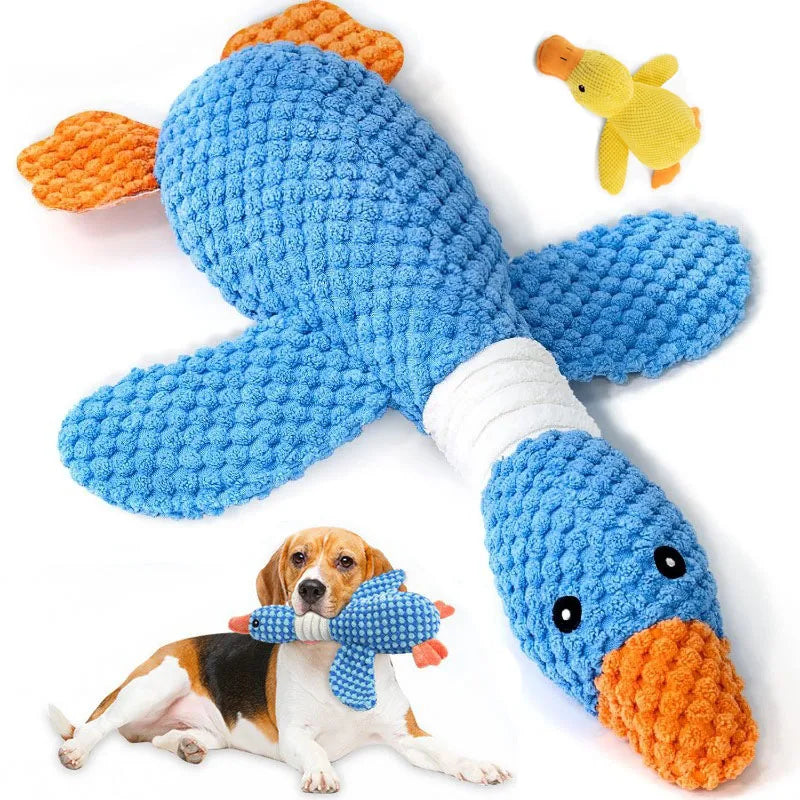 Cat/ Dog Toys for Aggressive Chewers  Squeak Toy