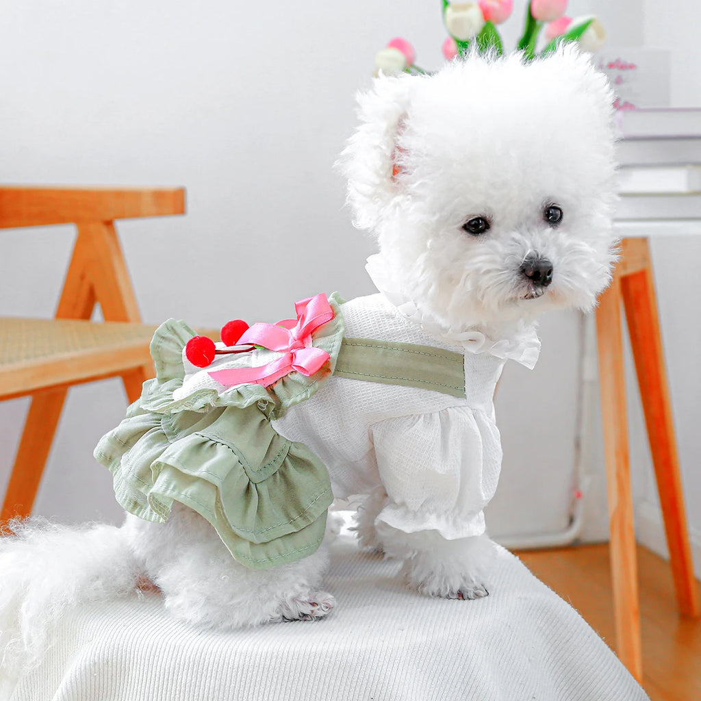 Ruffled Pet dress for small dogs