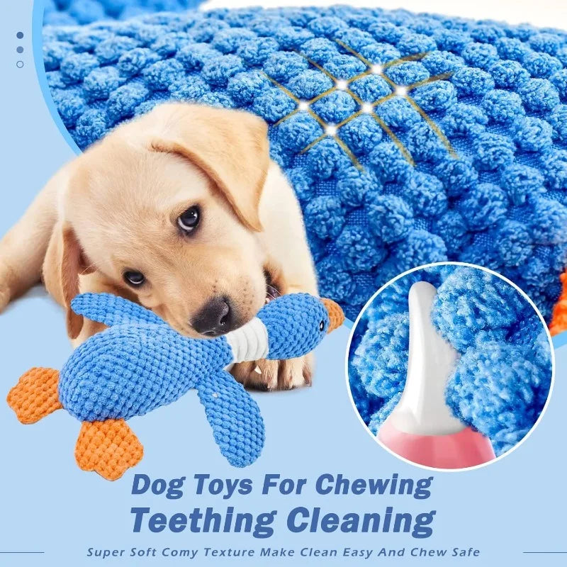 Cat/ Dog Toys for Aggressive Chewers  Squeak Toy