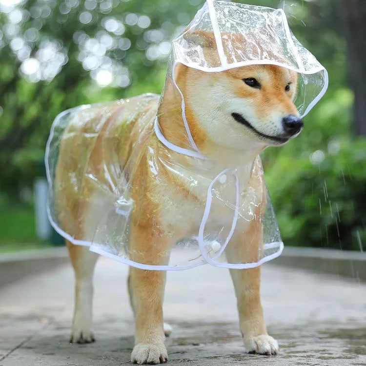 Puppy Raincoat for Small and Medium Dogs