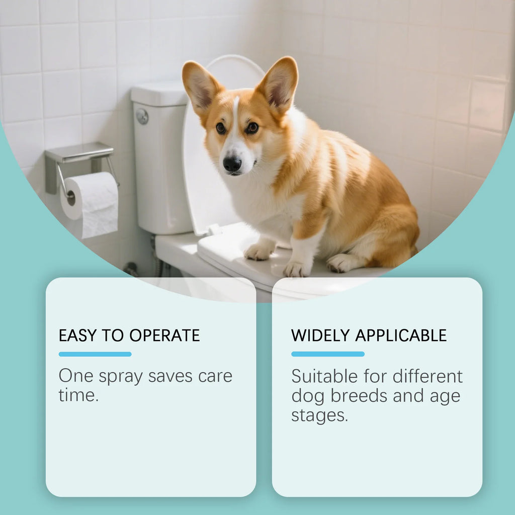 Pet Potty Training Spray