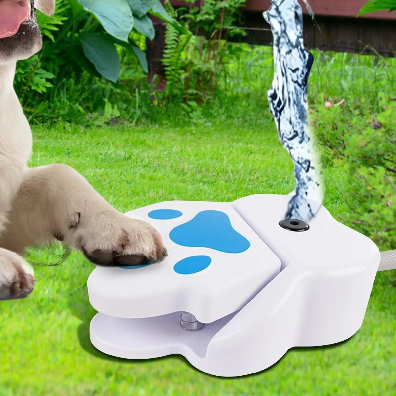 Pet Water Fountain  with an interactive step
