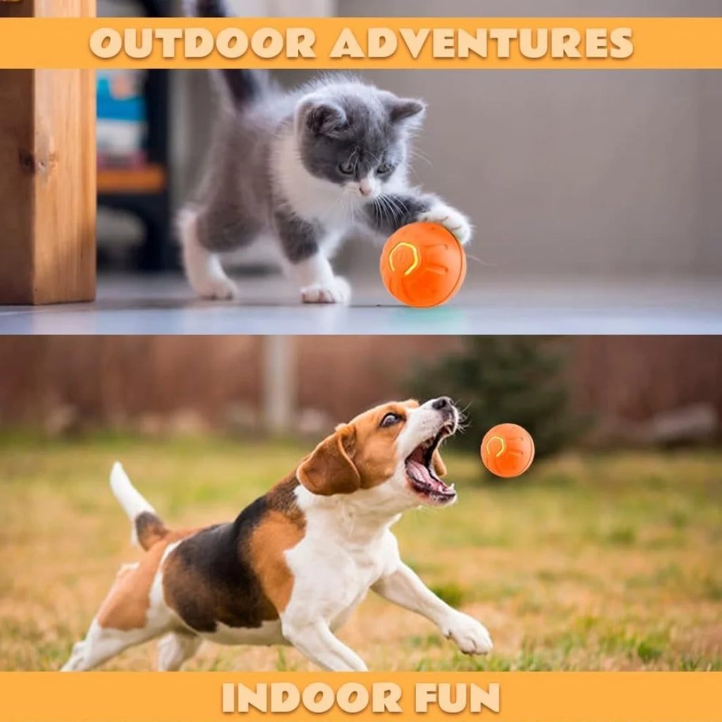 Gravity Electric smart Ball For Dogs and Cats
