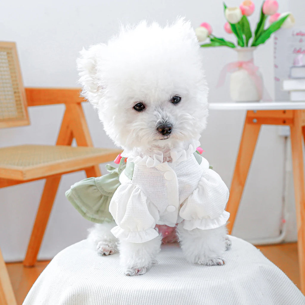 Ruffled Pet dress for small dogs