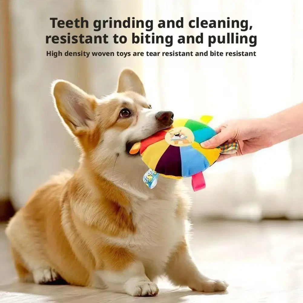Flying Saucer Toy Training  With Grab Tabs