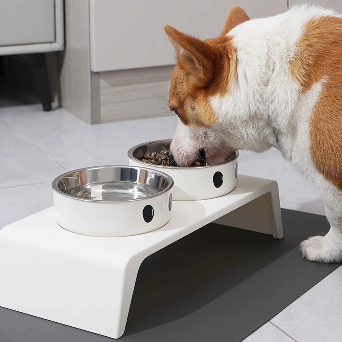 Elevated Pet Double Bowls on Raised Stand