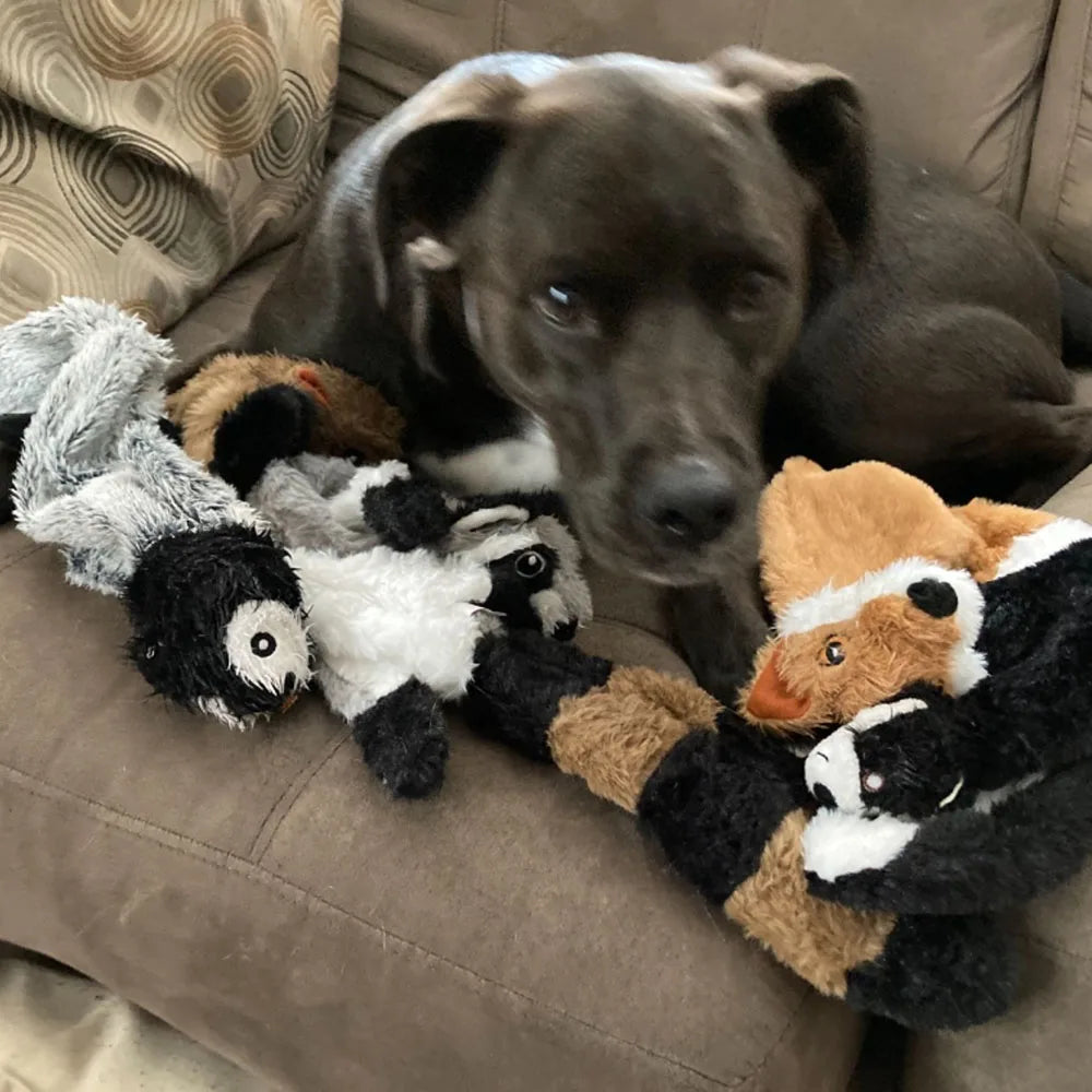Animal Toys