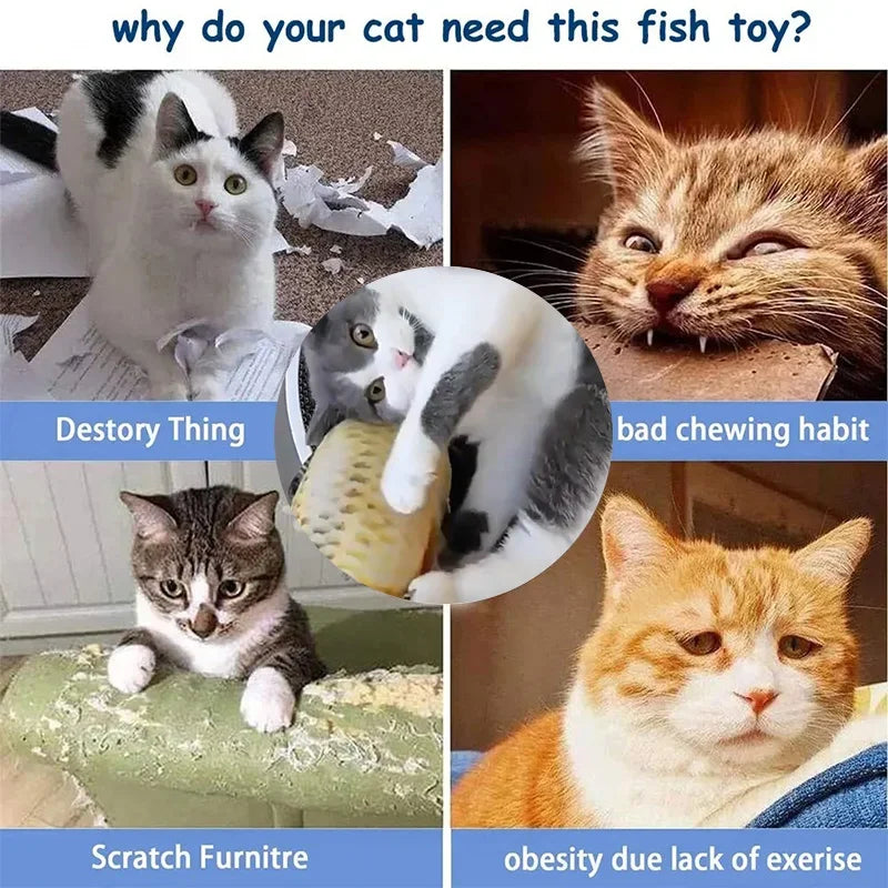 Catnip Fish Cat Toy