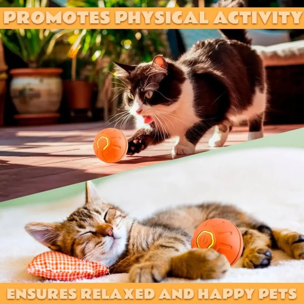 Gravity Electric smart Ball For Dogs and Cats