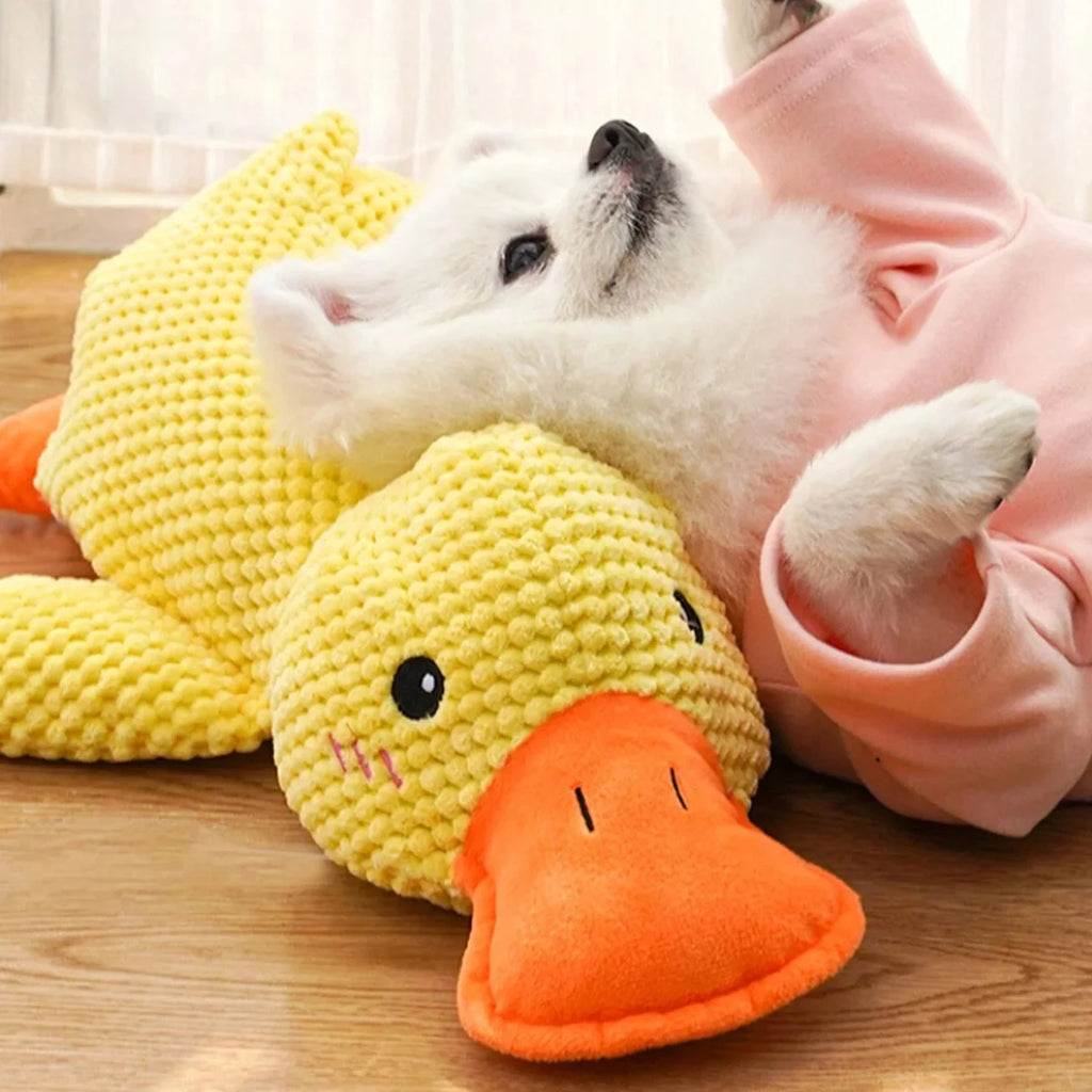 Companion Sleeping Duck Toys
