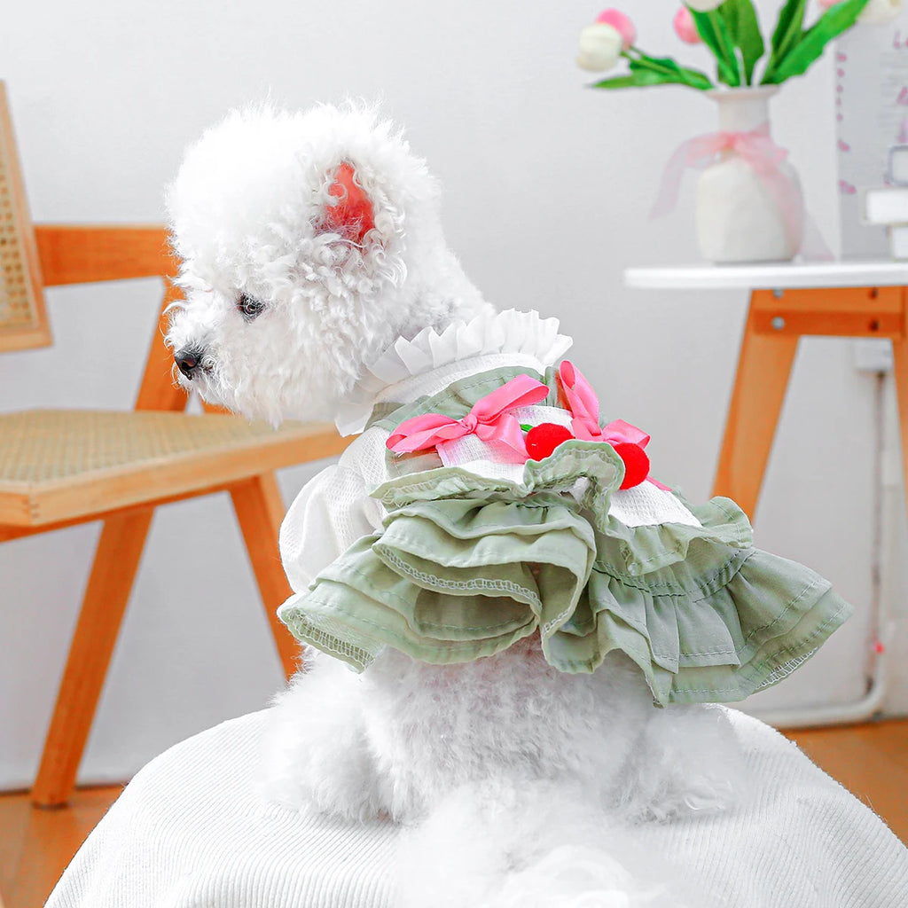 Ruffled Pet dress for small dogs