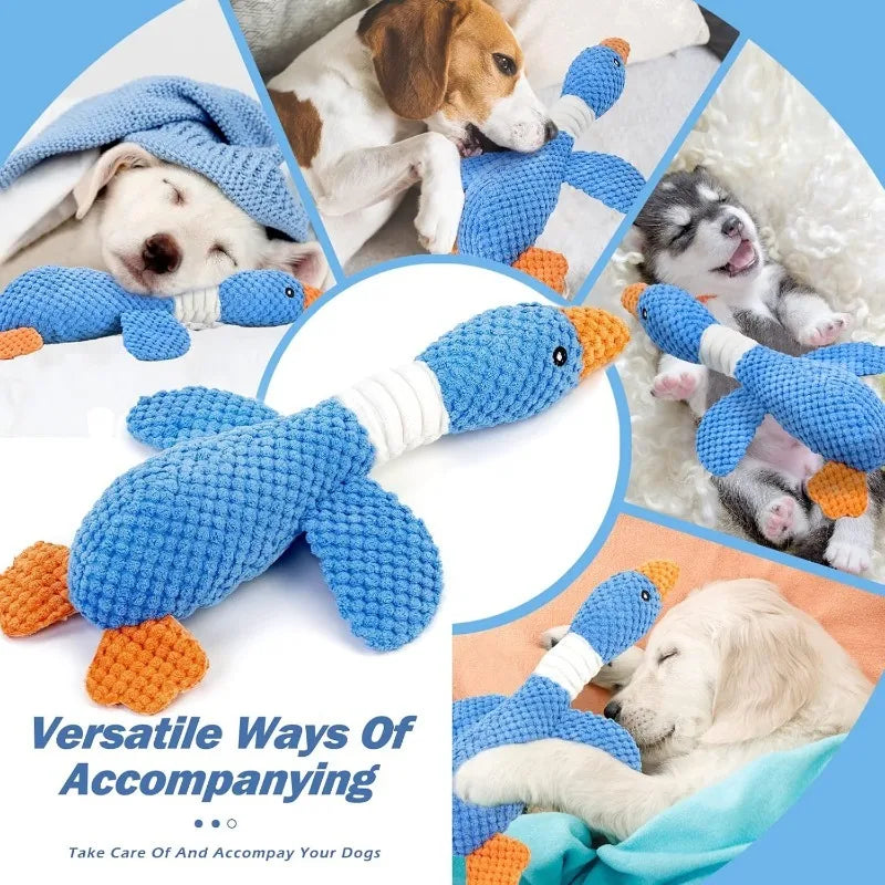 Cat/ Dog Toys for Aggressive Chewers  Squeak Toy