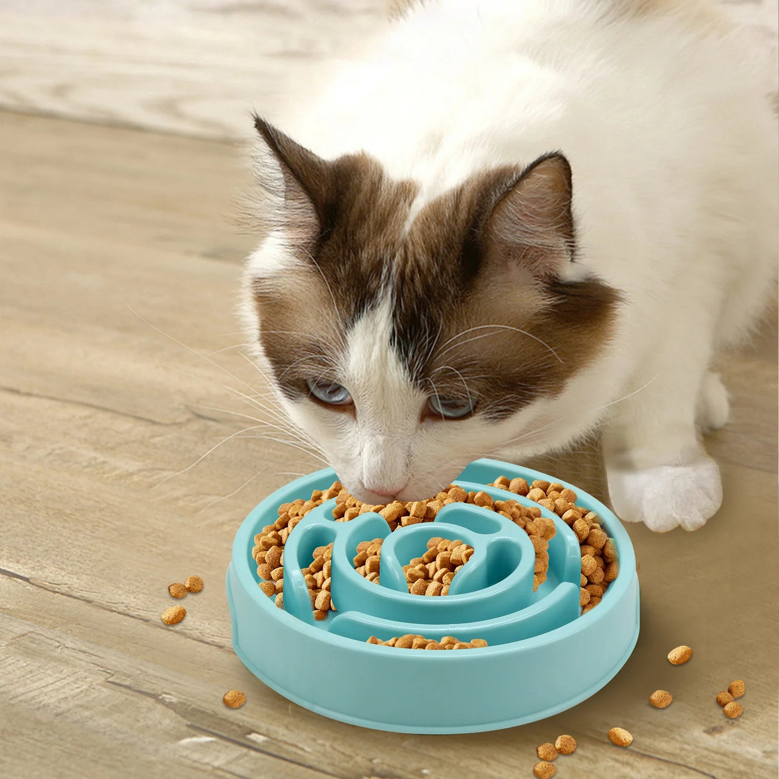 Maze Pet  Food Bowl for slower eating - Non slip and Durable - Suitable for pets of all sizes