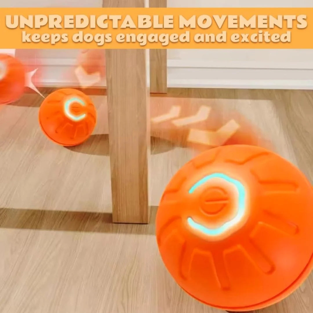 Gravity Electric smart Ball For Dogs and Cats
