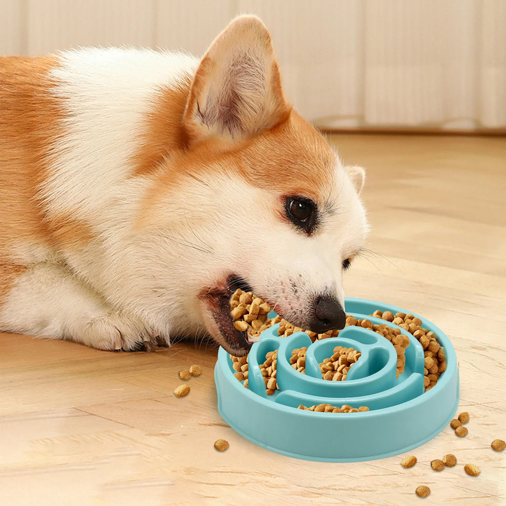 Maze Pet  Food Bowl for slower eating - Non slip and Durable - Suitable for pets of all sizes