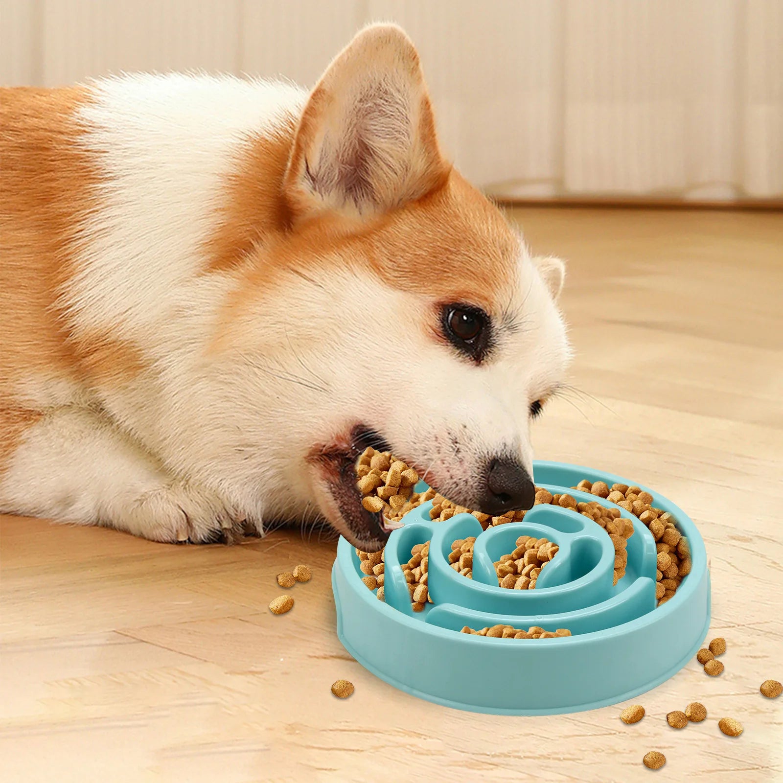 Maze Pet  Food Bowl for slower eating - Non slip and Durable - Suitable for pets of all sizes