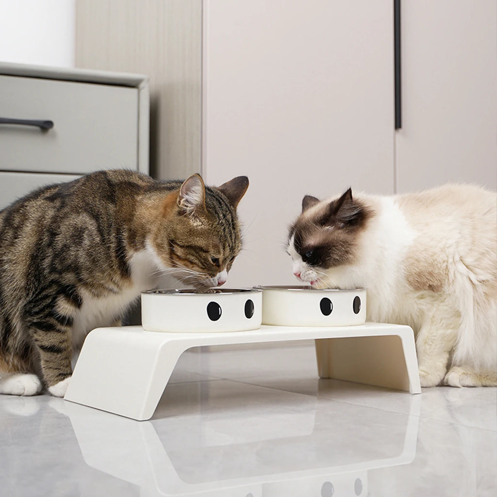 Elevated Pet Double Bowls on Raised Stand