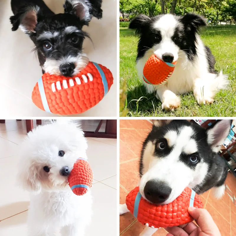 Dog football and Volleyball Squeaky Toy