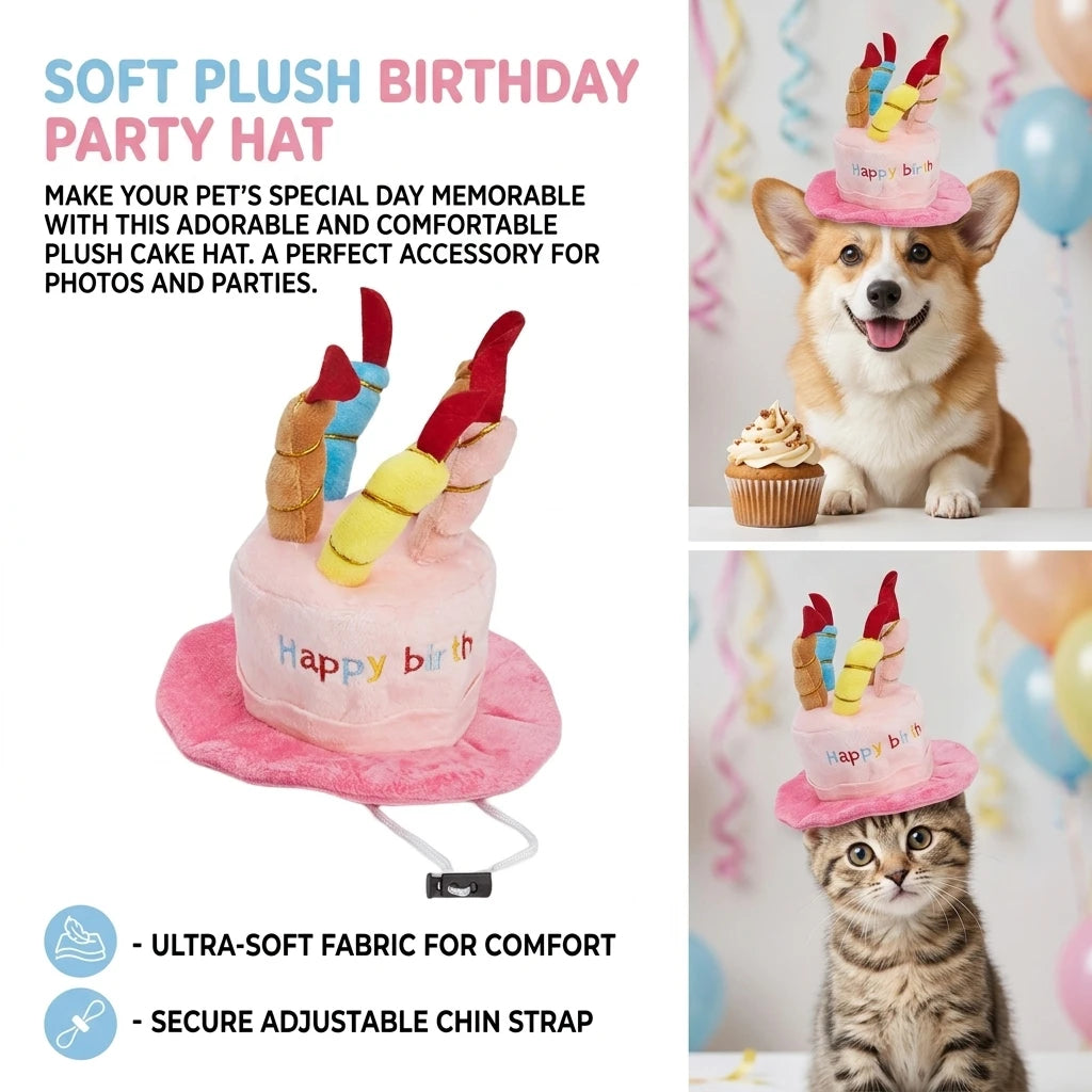 Pet Birthday Party Hat