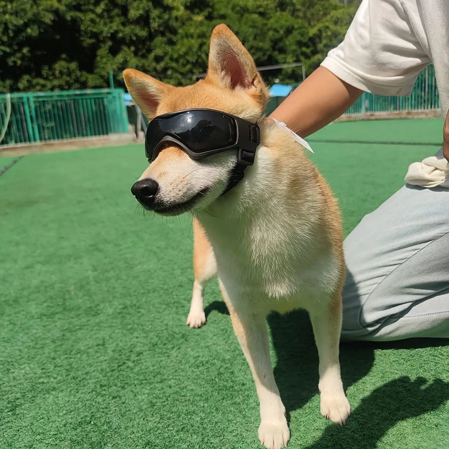 Dog UV Protection Sunglasses Goggles with adjustable Straps
