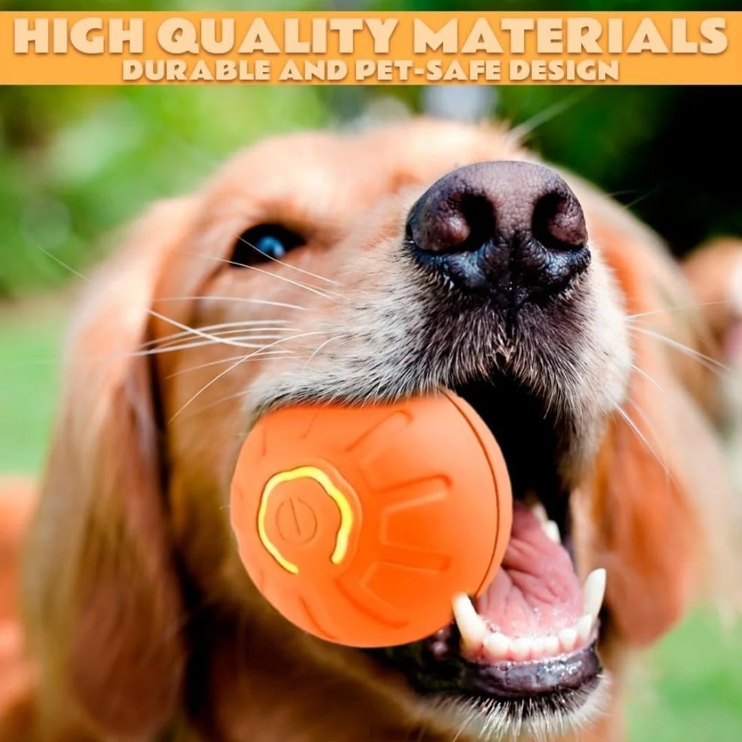 Gravity Electric smart Ball For Dogs and Cats