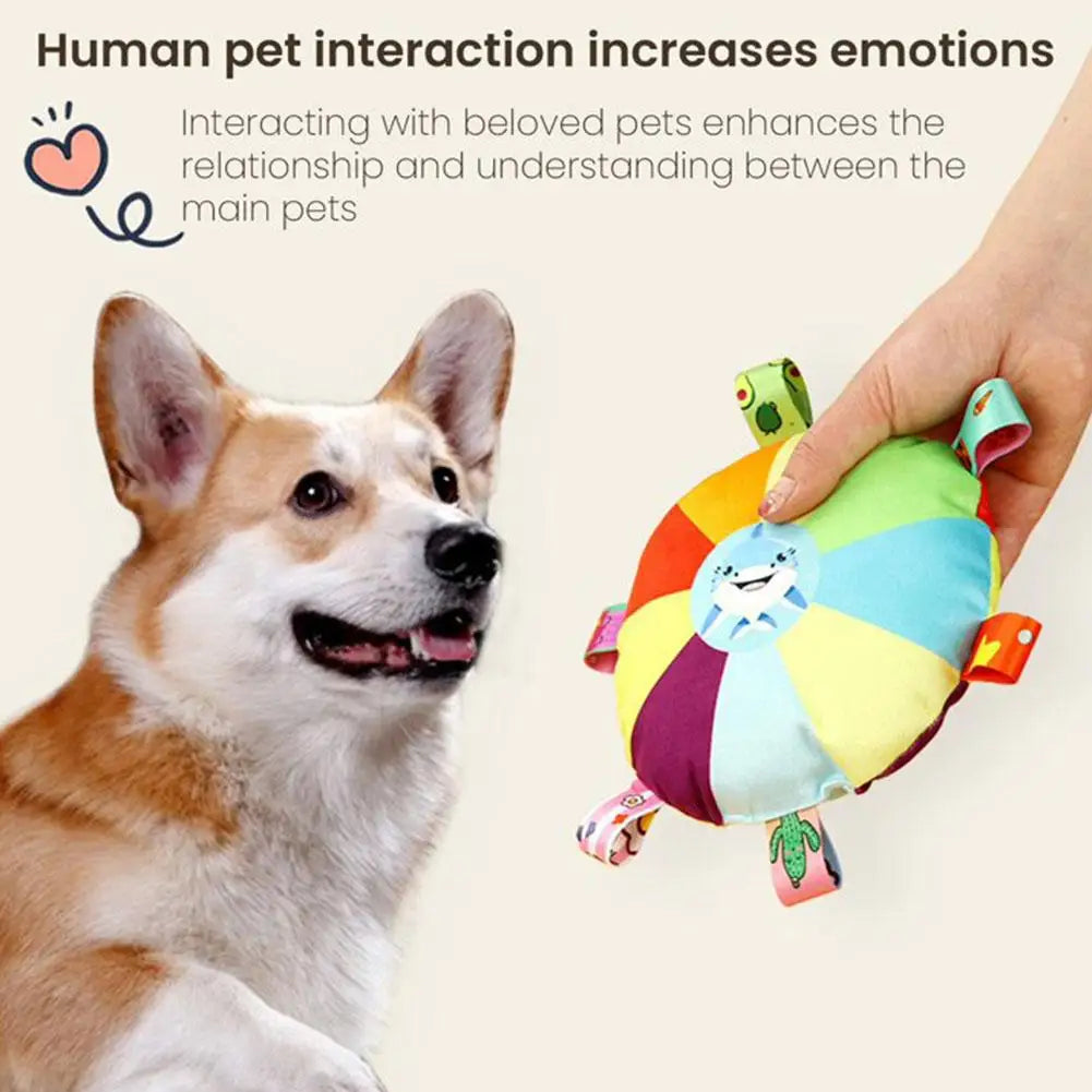 Flying Saucer Toy Training  With Grab Tabs