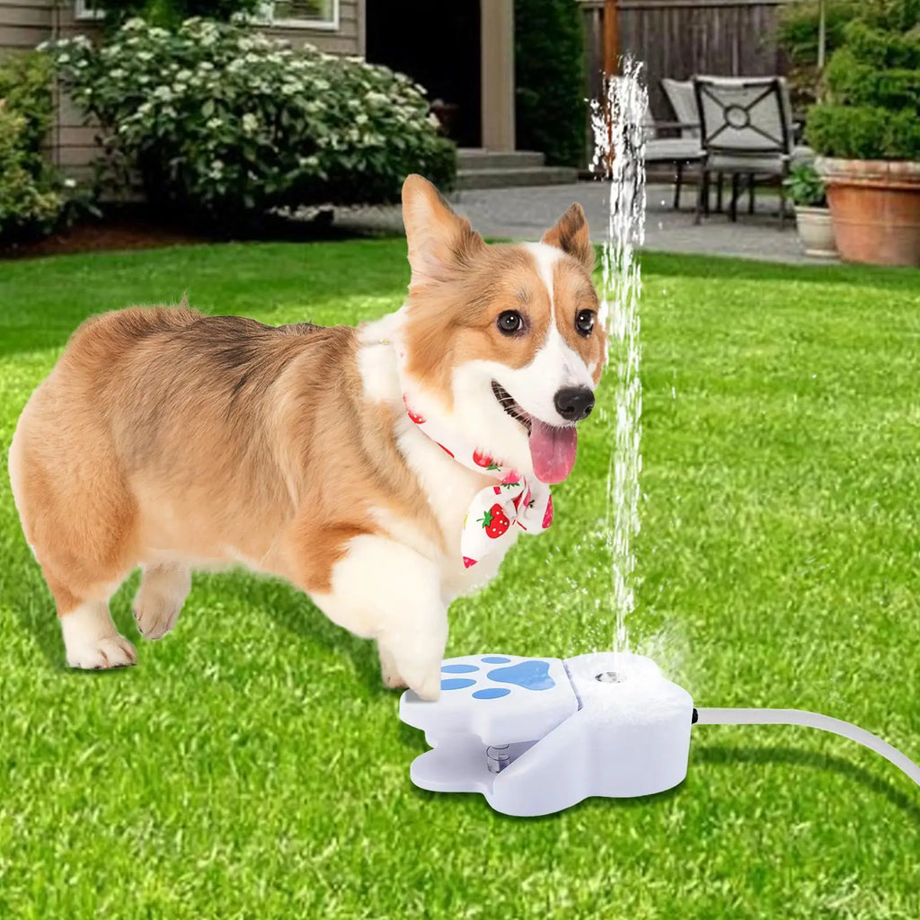 Pet Water Fountain  with an interactive step