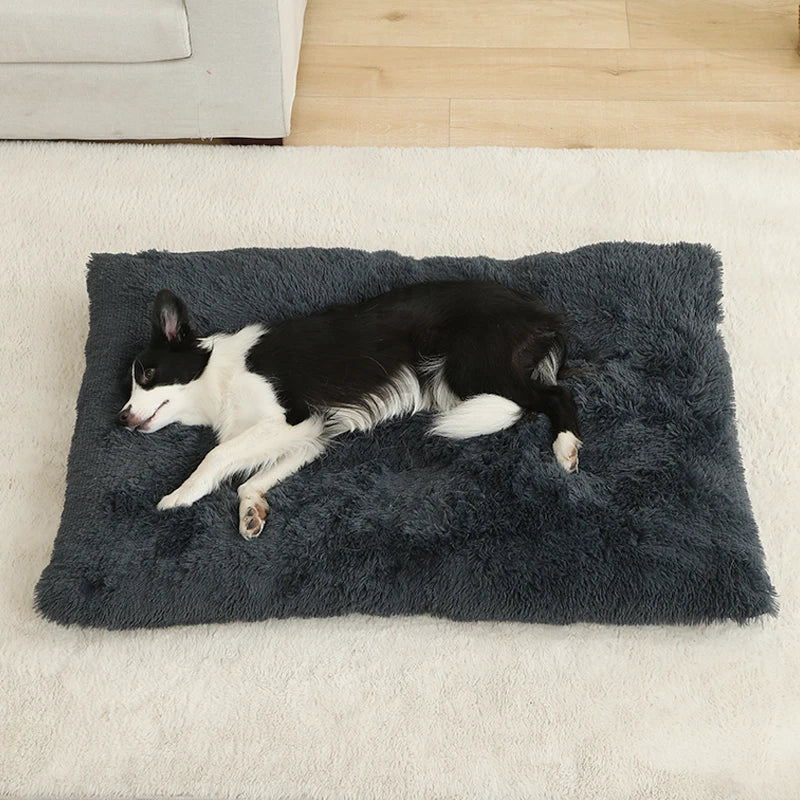 Plush dog bed