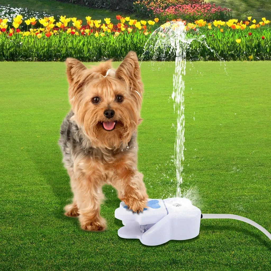 Pet Water Fountain  with an interactive step